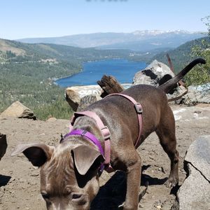 Meet your Posher, Rogelio